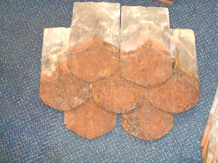 Bullnose Feature Tiles