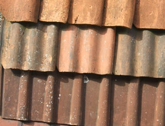 Reclaimed Clay Roof Tiles